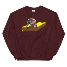 Load image into Gallery viewer, Ant Eater in A sandbox Sweatshirt
